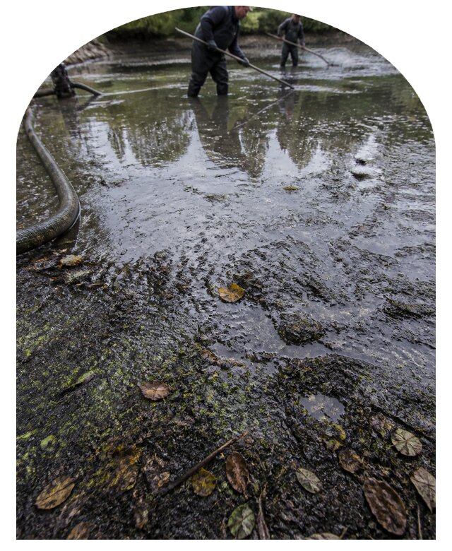 Очистка пруда в Скопине от ила мусора и водорослей с вывозом